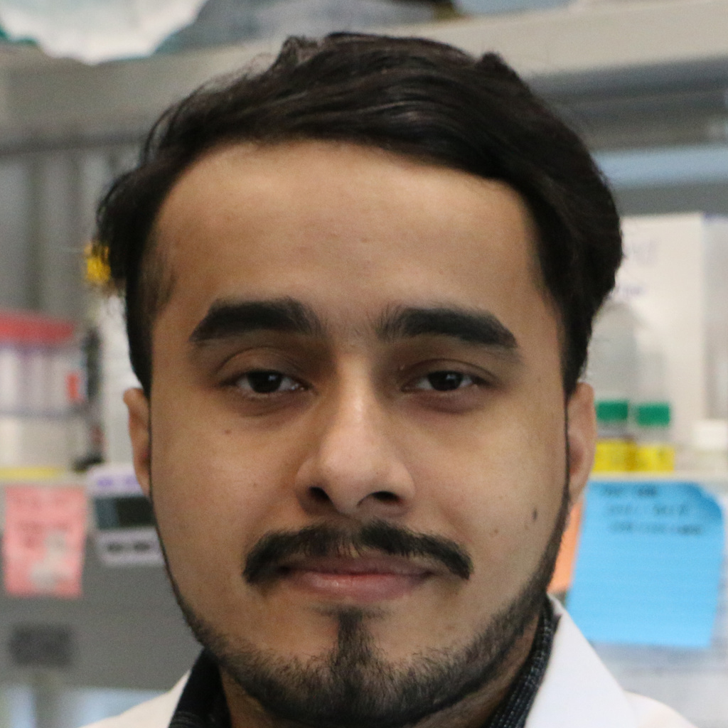 Portrait Krishna Awasthi