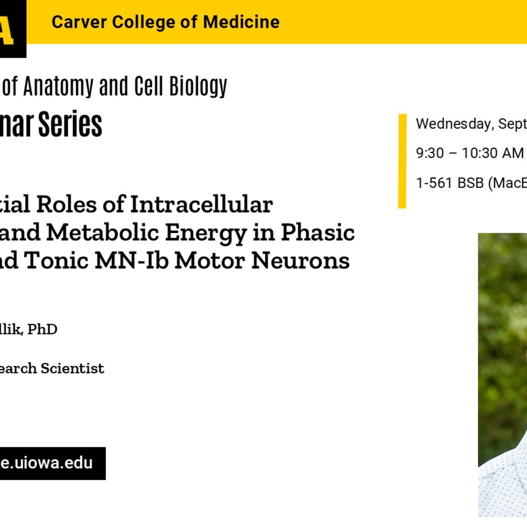 ACB Seminar Series - Dr. Bhagaban Mallik  promotional image