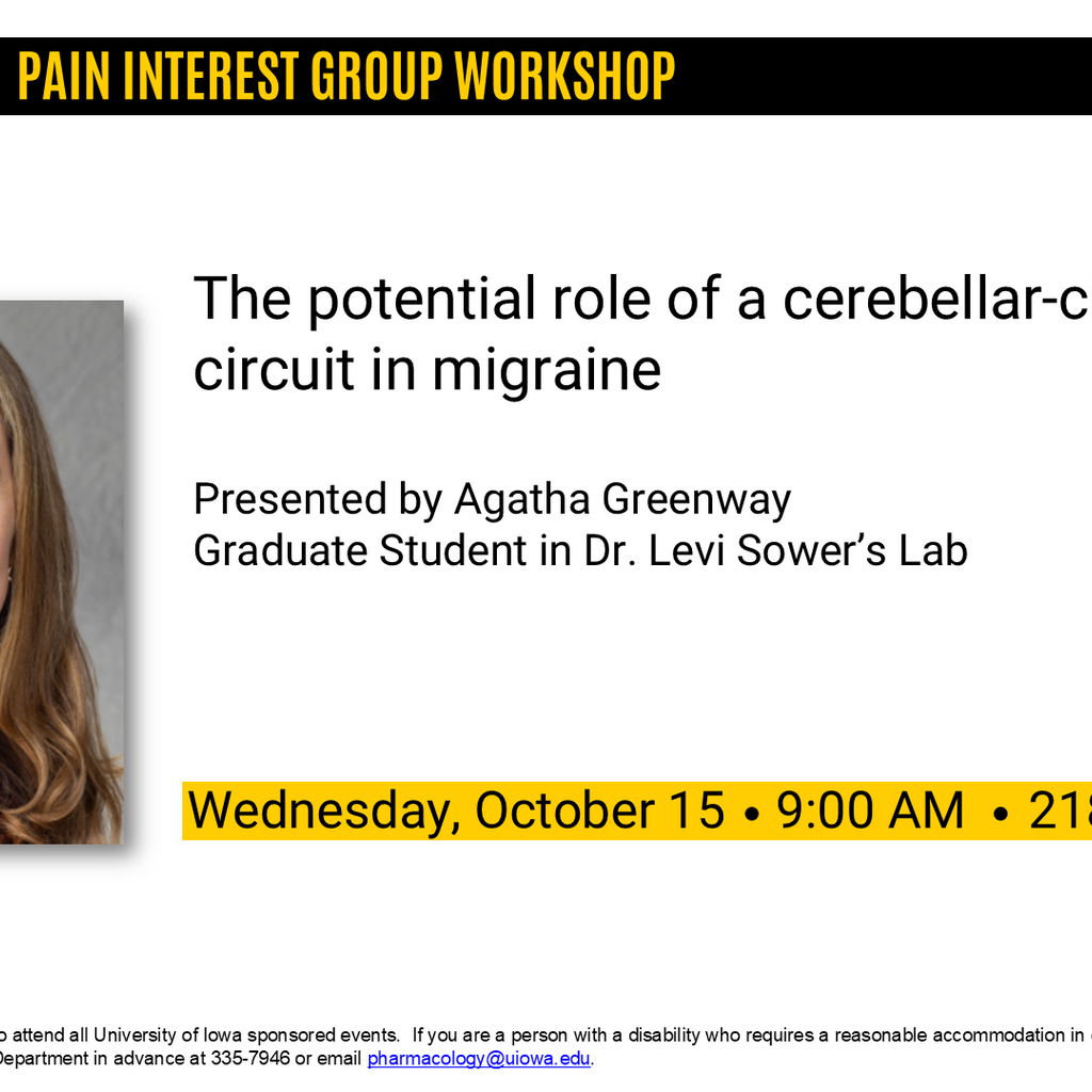 Pain Interest Group Workshop - Agatha Greenway promotional image