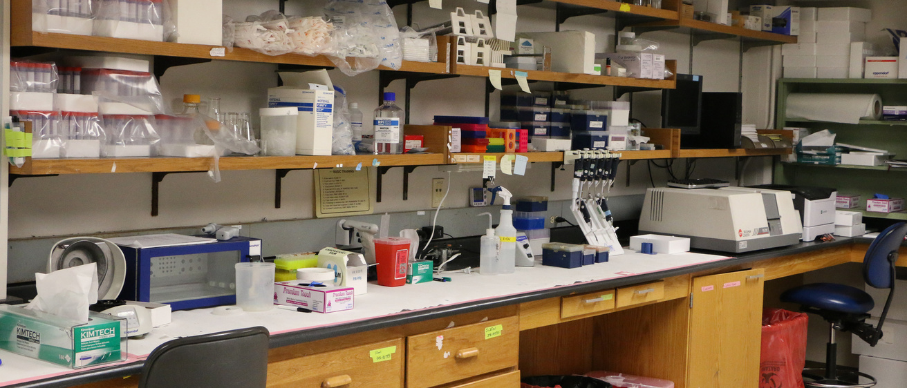 FRRBP Core lab